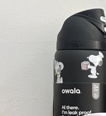 Owala FreeSip Stainless Steel Water Bottle Peanuts Snoopy Insulated Leak-Proof Straw Tumbler – view 7