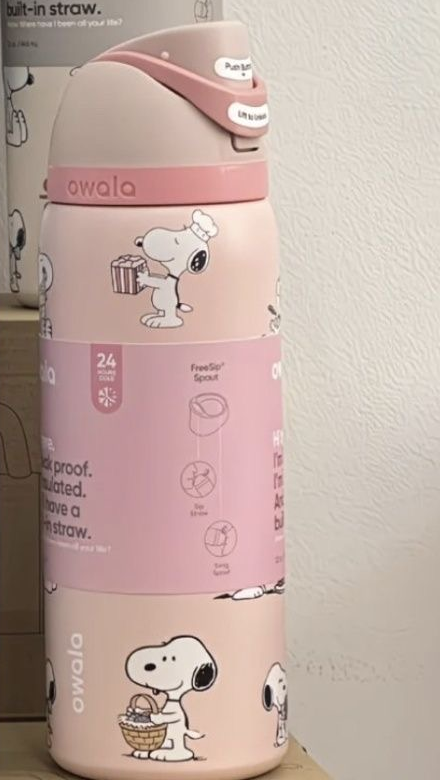 Owala FreeSip Stainless Steel Water Bottle Peanuts Snoopy Insulated Leak-Proof Straw Tumbler – view 12