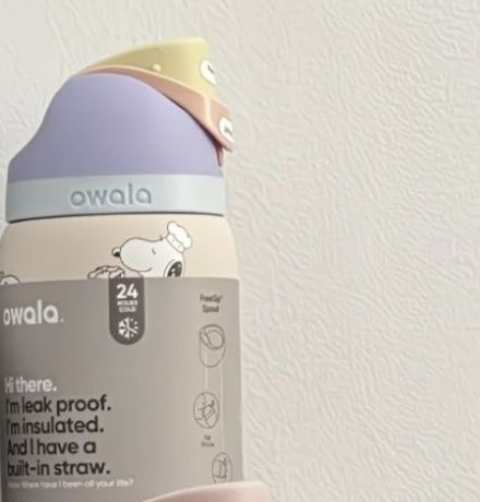 Owala FreeSip Stainless Steel Water Bottle Peanuts Snoopy Insulated Leak-Proof Straw Tumbler – view 3