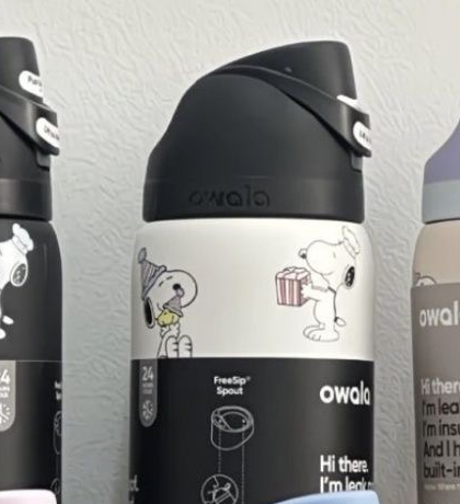 Owala FreeSip Stainless Steel Water Bottle Peanuts Snoopy Insulated Leak-Proof Straw Tumbler – view 2